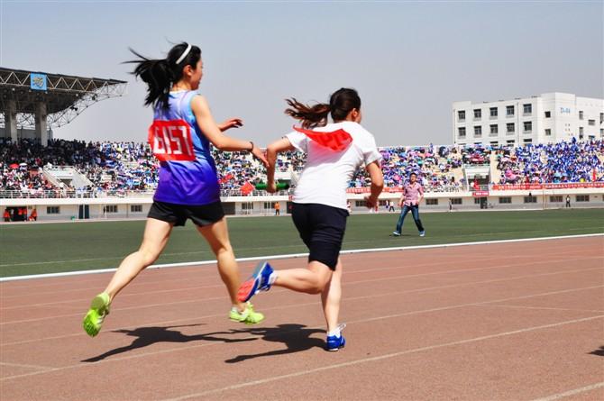 这些大学里“华而不实”的证书，浪费时间又用处不大，报考需谨慎