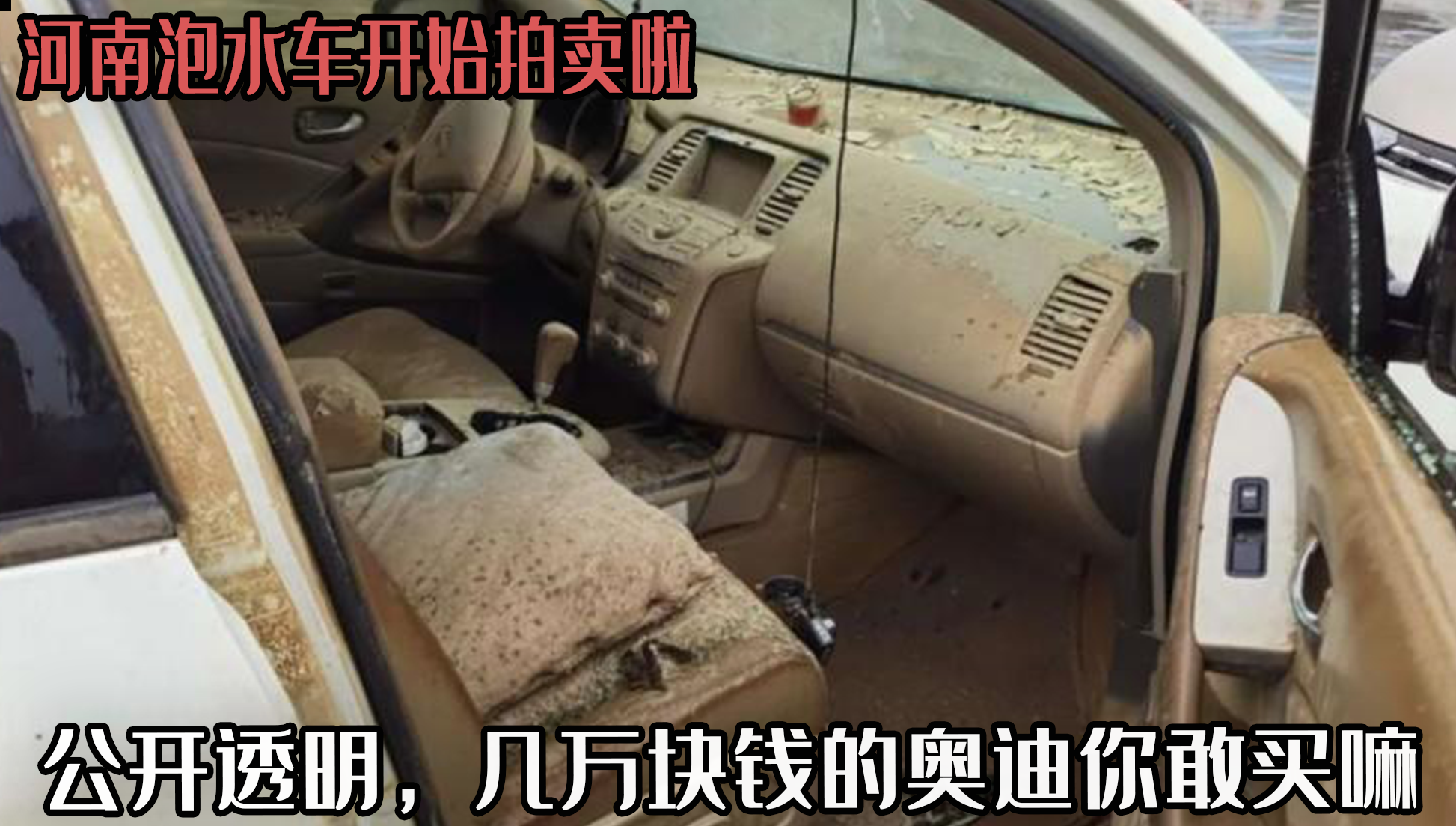 河南泡水车拍卖启动，中国汽车交易网限时抢购