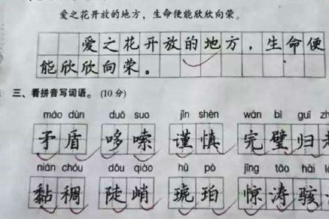 小学生字体宛如“豆腐块”，干净整齐又美观，老师表示赏心悦目