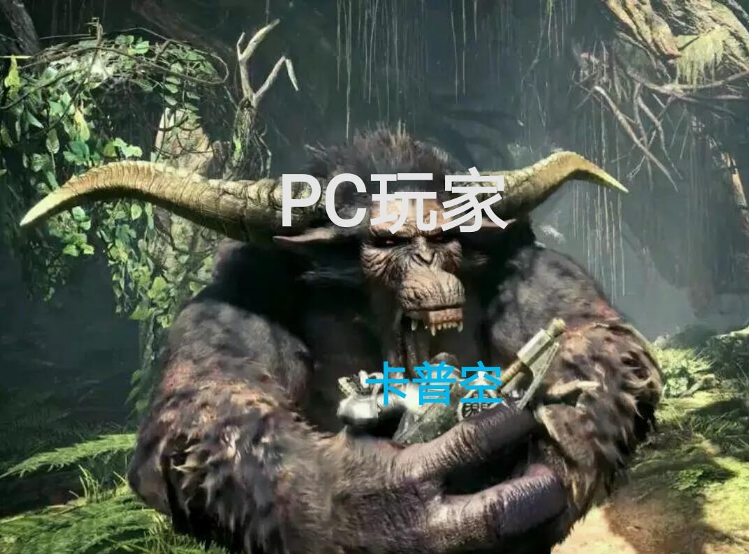 猛汉王冰原上线，PC玩家柠檬精附体，看到这些表情包直接笑崩