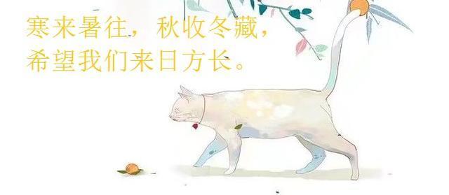 男主土匪：《卿卿一笑百媚生》这土匪怎么长得芝兰玉树，官里官气
