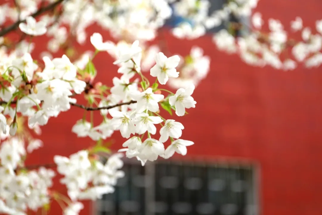 多少分，可以上兰州大学？