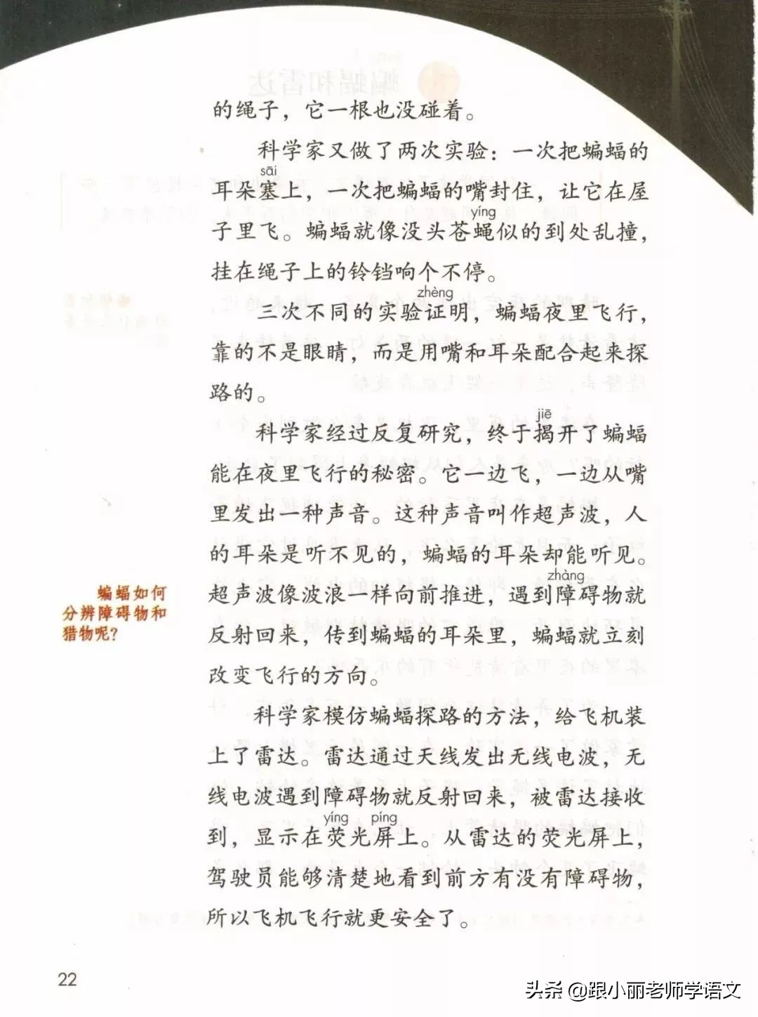 蝙蝠和雷达的名人名言