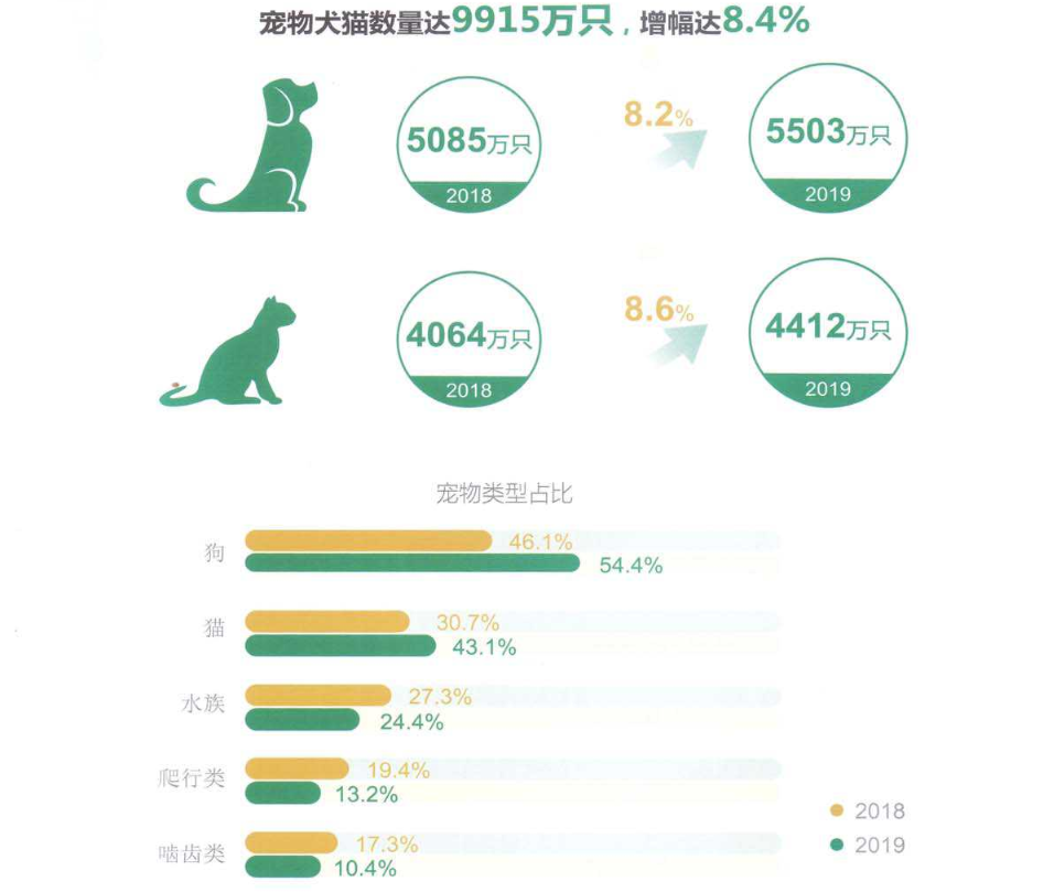 行业人建议 想养宠物犬 劝你选择这10种寿命长的狗狗1 中华田园犬2 金毛寻回犬3 柯基犬4 比格犬5 比熊犬6 杰克罗素梗犬7 博美犬 8 雪纳瑞9 贵宾犬10 吉娃娃 天天好运
