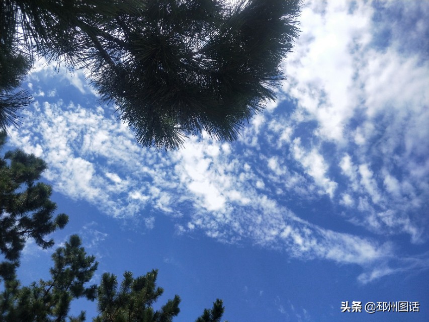 美丽的校园，威海职业学院