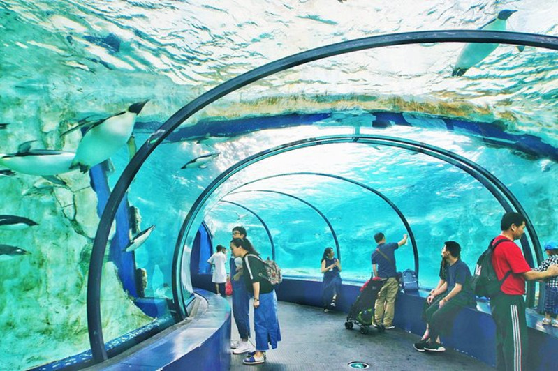 三天三夜欢乐长隆之旅（附攻略）