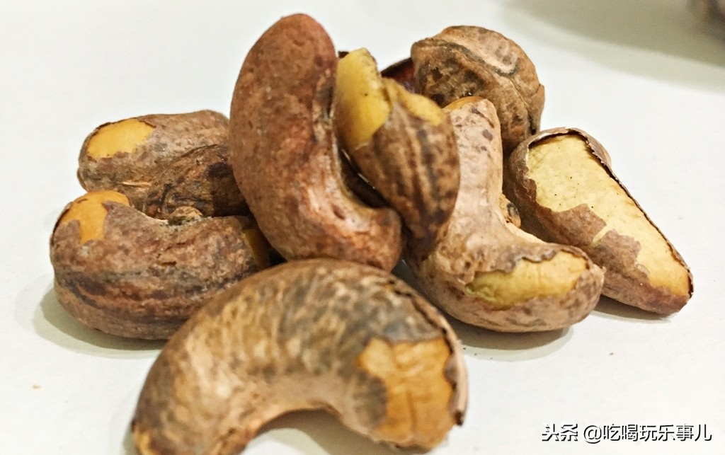 想不到！你爱吃的腰果，在树上长这个样子！
