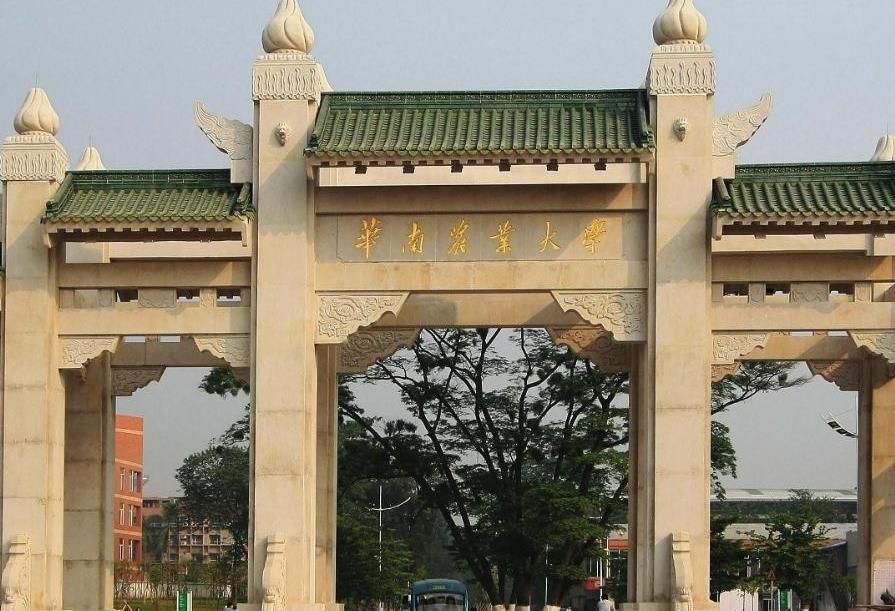 校友会：双非大学十强排名，这三所大学进入前三强，有你母校么