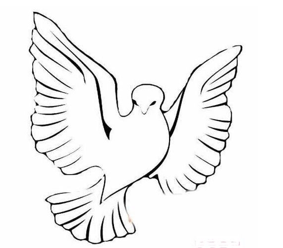 和平鸽的简笔画(简笔画:高清鸽子简笔画,快收藏起来,让孩子放假了练习