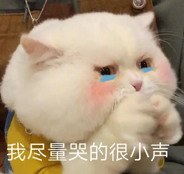 看到报考人数,现在想要改专硕或者学硕来得及吗?