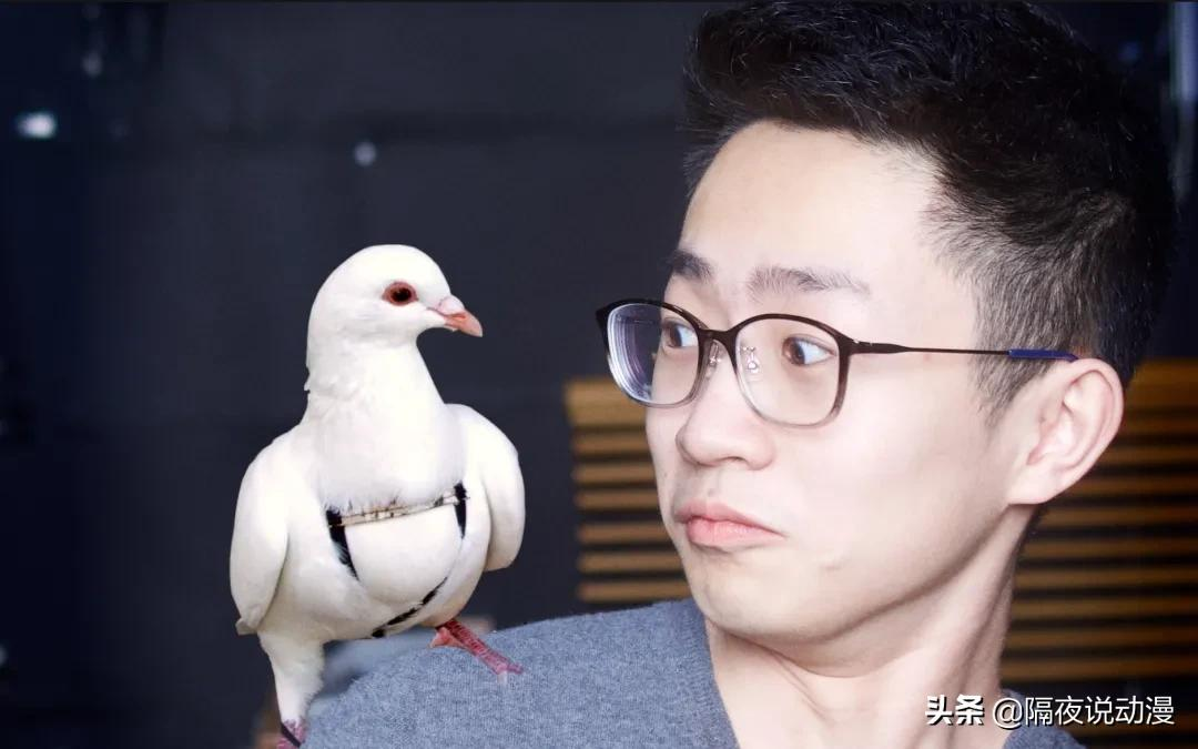 B站何同学有多值钱?用7分钟视频,让金主爸爸市值暴涨5.5亿