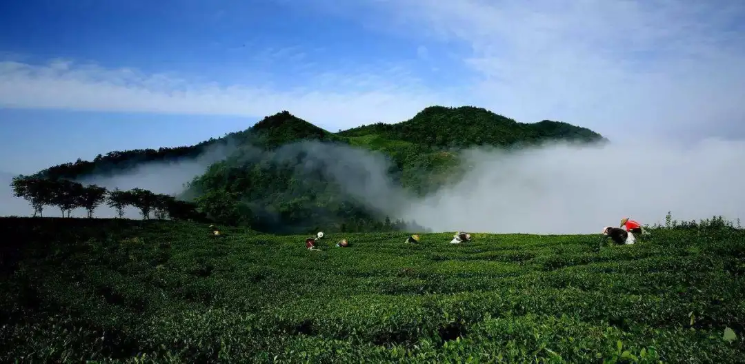 长沙出发自驾2.5h直达，这个安化县的仙境藏不住了