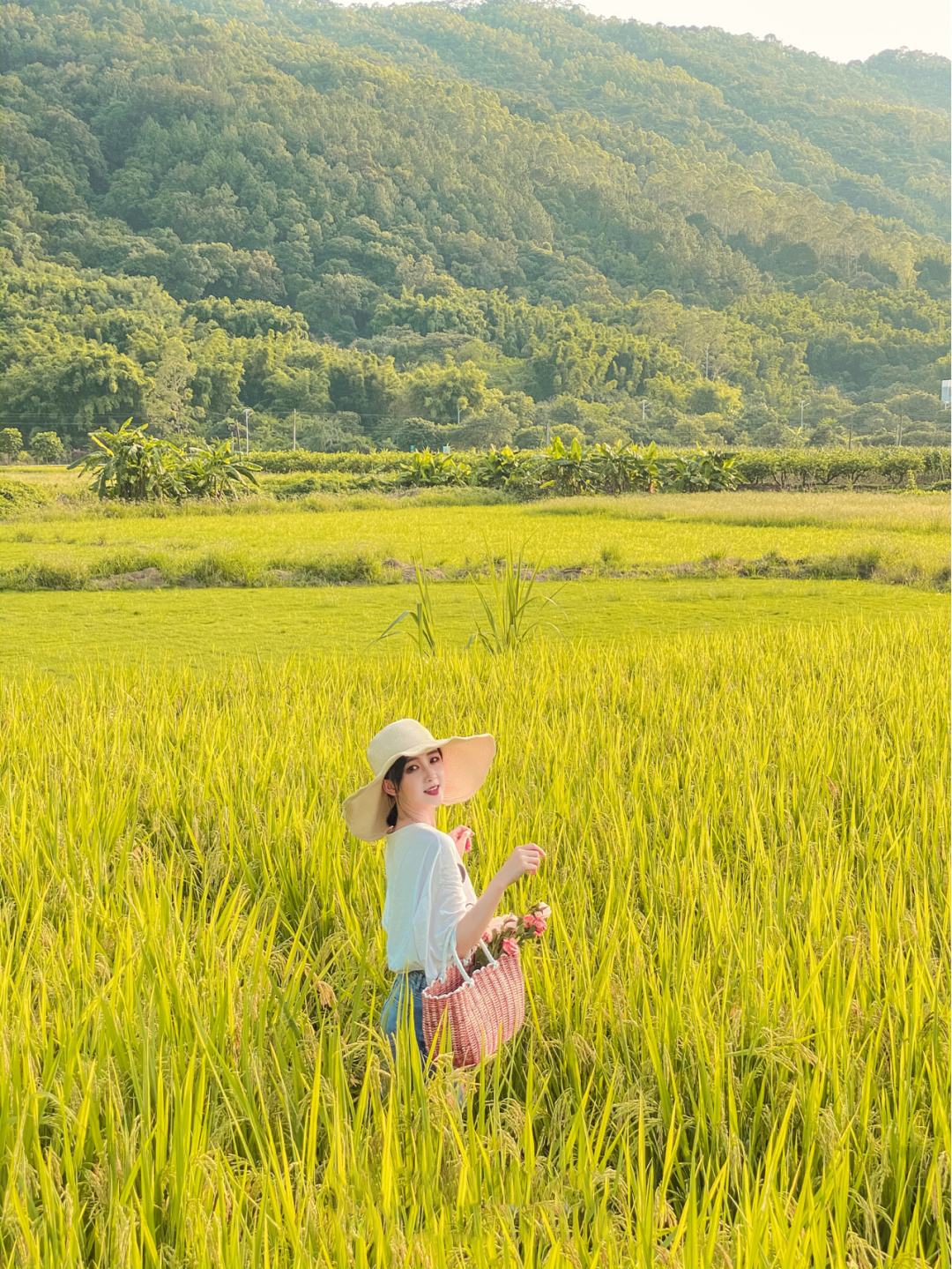 走进乡间田野,感受秋的气息