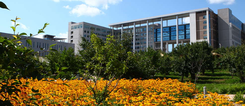 我国“最好考”的三所211大学，录取分数不高，中等生值得一试