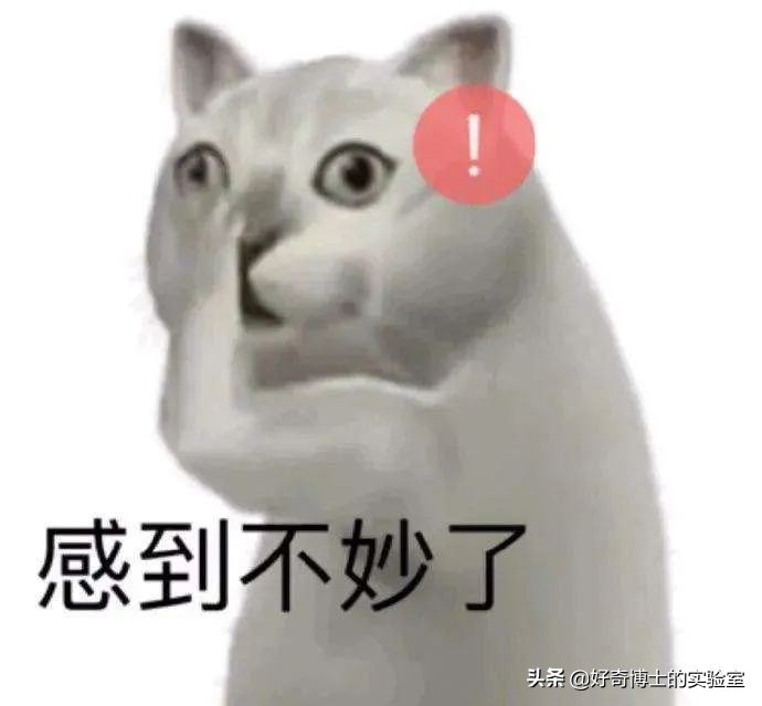 11个奇奇怪怪的隐藏玩法（含撩妹教程）