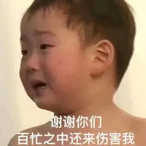 表情包：OK！我不敢有意见