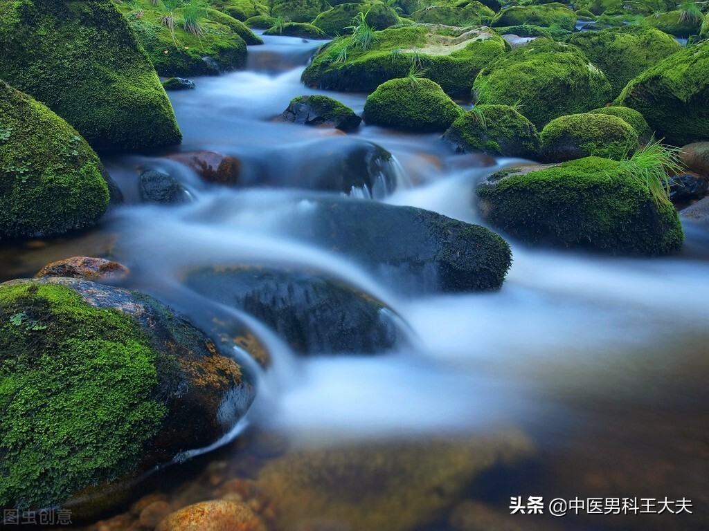 肾阴虚夹有湿热下注型ED，中医如何恢复？