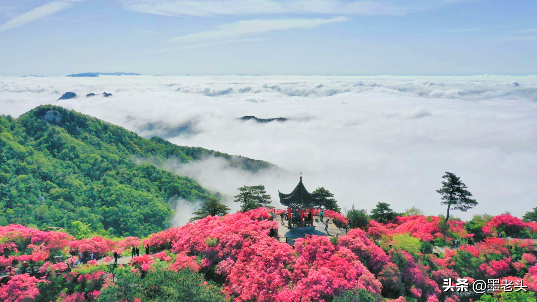 蕲春旅游景点有哪些(湖北黄冈市下属景点汇总) - 悦闻天下