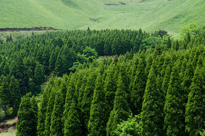 大兴安岭四区:加格达奇 松岭 呼中 新林