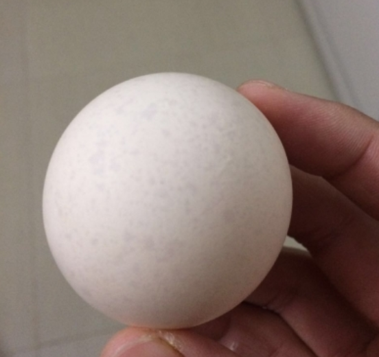 长斑点的鸡蛋有沙门氏菌吗长斑的鸡蛋有沙门氏菌是真的吗