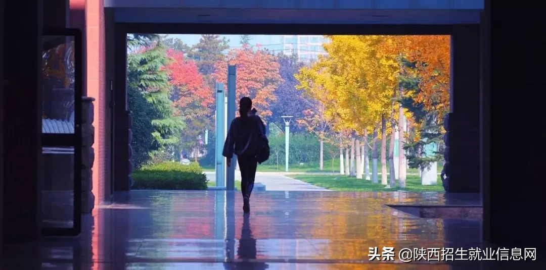 阳光正好丨多维度、高清图，带你一起了解咸阳职业技术学院