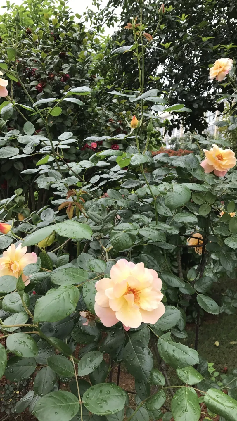 2021年湖南环境生物职业技术学院招生简章（2022参考）