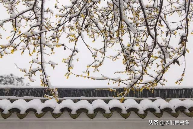 红墙，白雪，琉璃瓦，大雪压青松