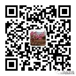 「随笔」张勇军:爱在人间