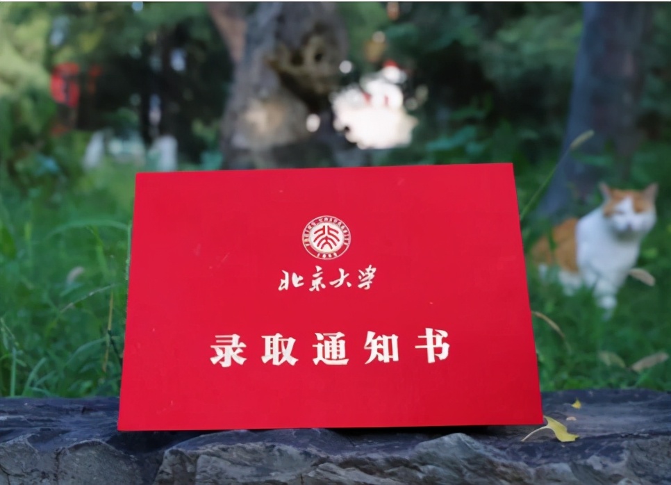 高一成绩全校倒数，高考以第一考上北大，网瘾少年如何逆袭成功？