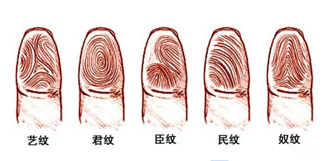 手指上的螺真的可信吗手上的螺是真的吗