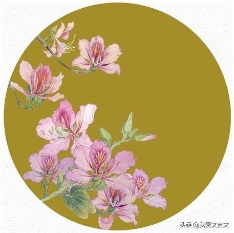 经典文言文赏析 | 三田分荆