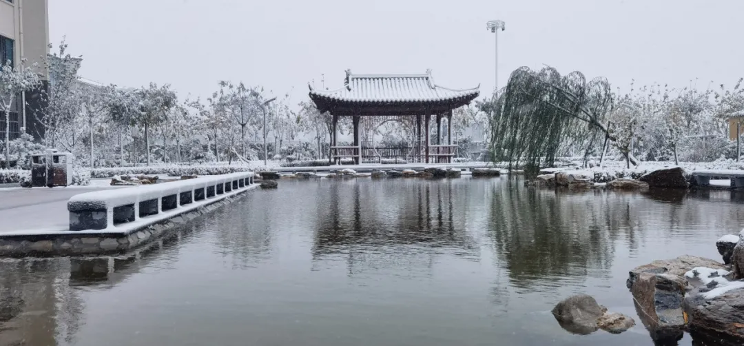 初雪中的开元学校,真美