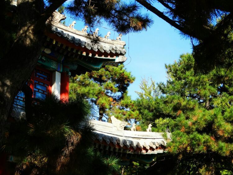 北大印象，漫步北大校园