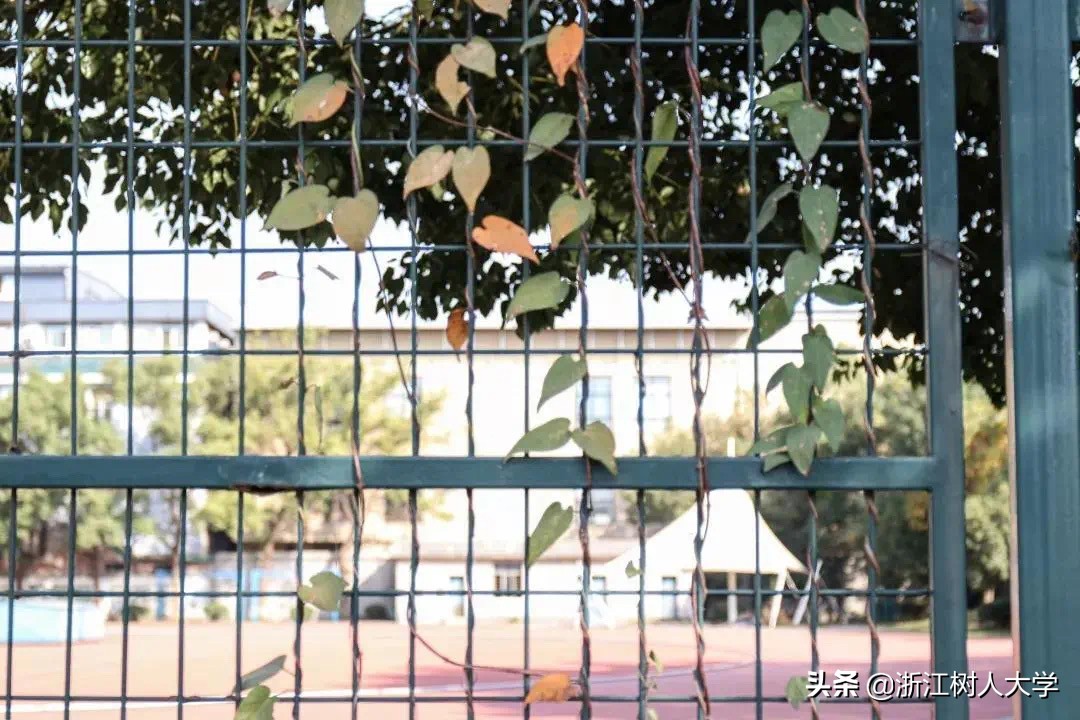 杭州就读，新增5个专业，浙江树人大学专升本2020年招生简章