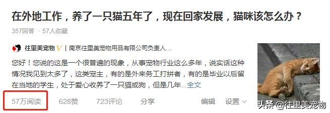把活体宠物从居住地运到外地，真的很难吗？细说宠物托运那些事