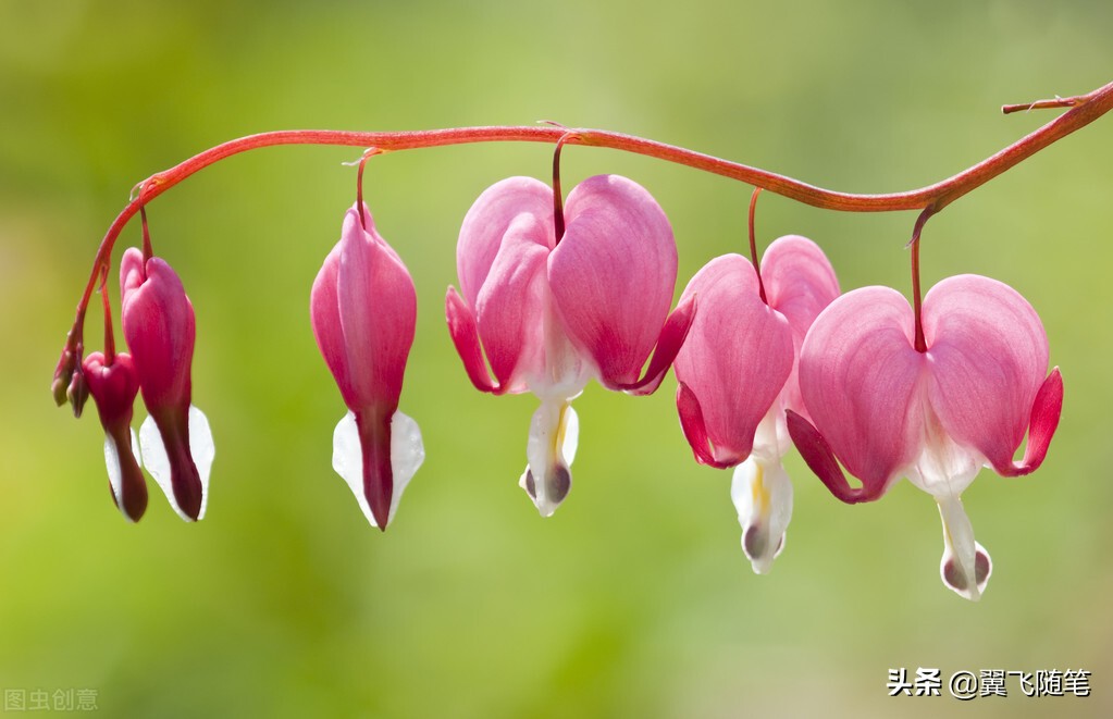写给女儿十四岁的青春寄语