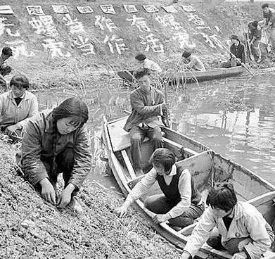“蛊”到底是什么？1955年新中国的抗“蛊”之战，毛主席亲自部署