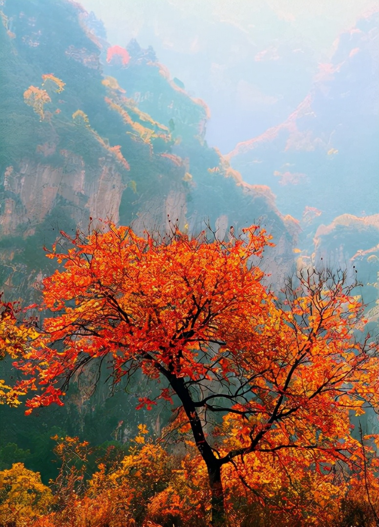 古诗山行的诗意，十二首有关山行的诗词，欣赏山中美丽的秋色