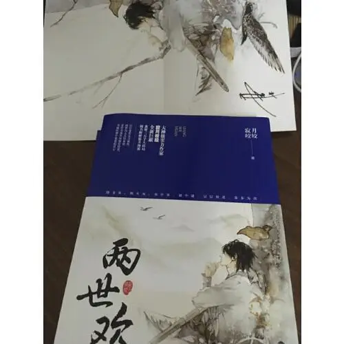 两世欢小说讲的什么呀（两世欢读后感）