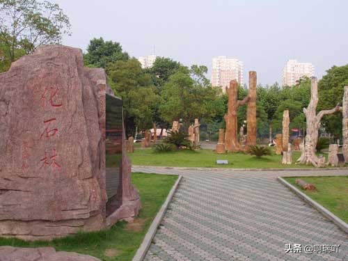 分数线丨中国地质大学（武汉）2019年录取分数线！