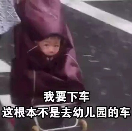 斗图表情包：我要下车，这根本不是去幼儿园的车！​​​​