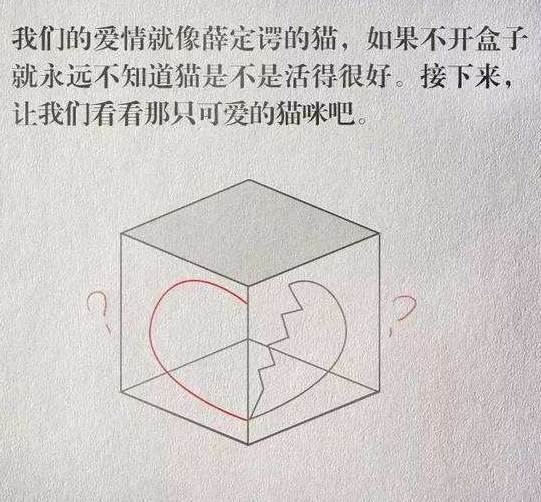 如何理解“薛定谔的猫”？