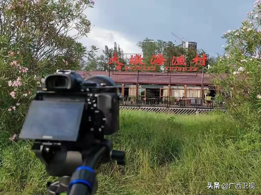 为造地雷浑身是伤，俘虏级别最高国民党将领……他们都是解放广西的英雄