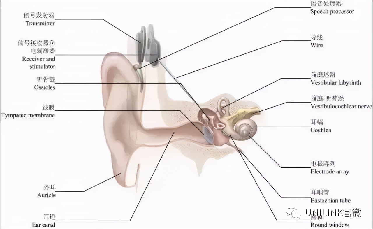 悉尼大学(USYD)2022最全申请攻略