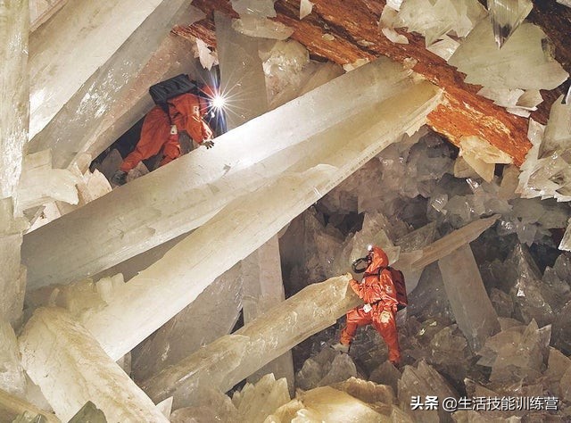 盘点那些容易引起巨物恐惧症患者不适的图片，快来测测吧