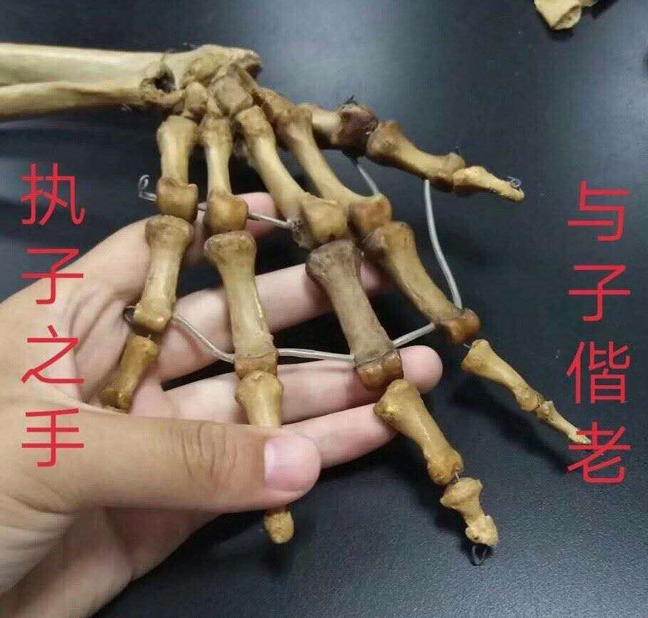 大学学霸如何表白？挖掘机专业太厉害，会计专业最浪漫！长见识了