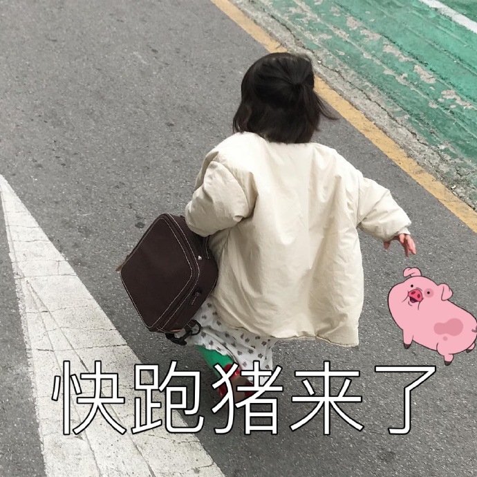 表情包：快跑，猪来啦