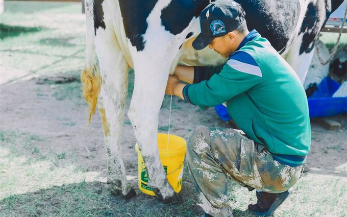这3种牛奶，营养不足还损害身体，家长要给孩子少喝或不喝
