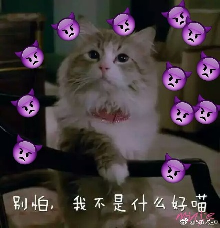 猫咪表情包：要做大哥的女人吗