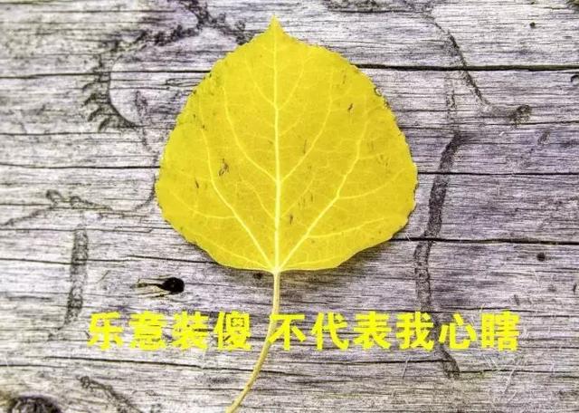 每天保持好心态的说说 阳光心态的心情短语图片